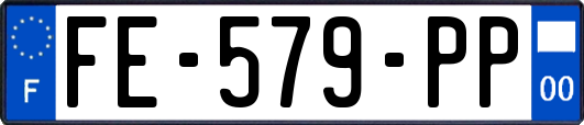 FE-579-PP