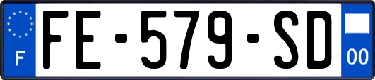 FE-579-SD