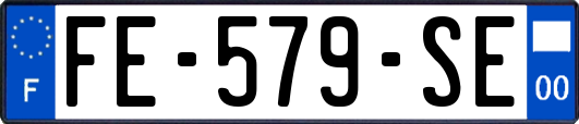 FE-579-SE