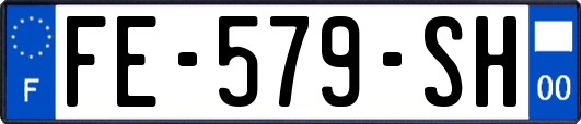 FE-579-SH