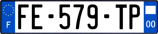 FE-579-TP
