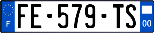 FE-579-TS