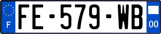 FE-579-WB