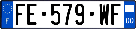FE-579-WF