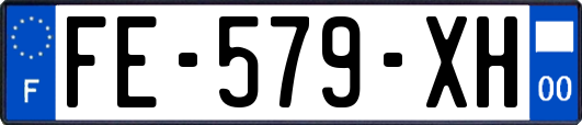 FE-579-XH