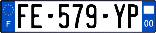 FE-579-YP