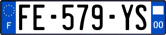 FE-579-YS