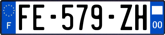FE-579-ZH