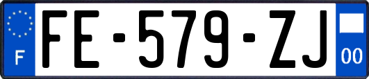 FE-579-ZJ