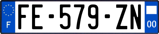 FE-579-ZN