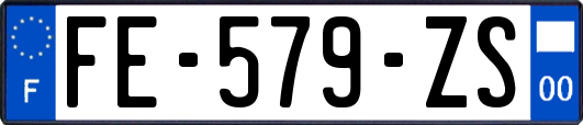 FE-579-ZS