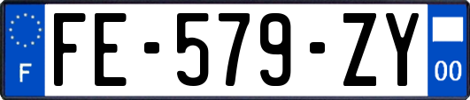 FE-579-ZY