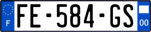 FE-584-GS