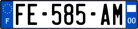 FE-585-AM