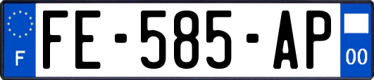 FE-585-AP