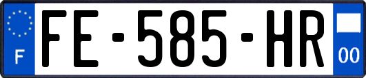 FE-585-HR