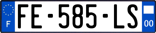 FE-585-LS