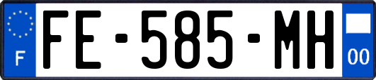 FE-585-MH