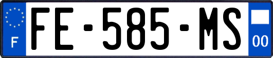 FE-585-MS