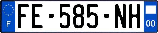 FE-585-NH