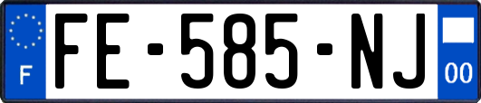 FE-585-NJ