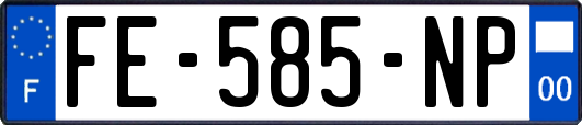 FE-585-NP