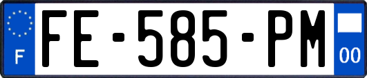 FE-585-PM