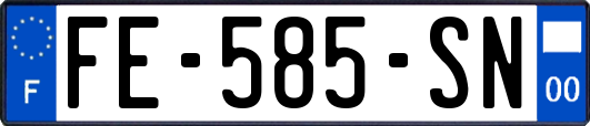 FE-585-SN