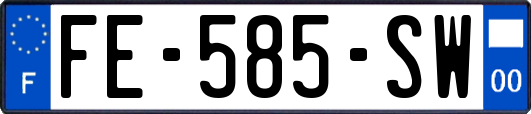 FE-585-SW