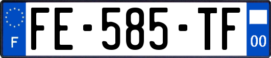 FE-585-TF