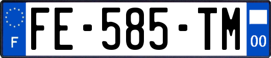 FE-585-TM