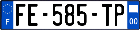 FE-585-TP