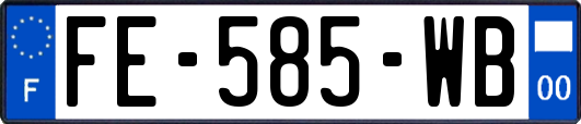 FE-585-WB