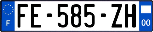 FE-585-ZH