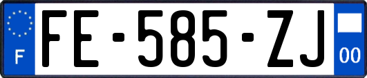 FE-585-ZJ