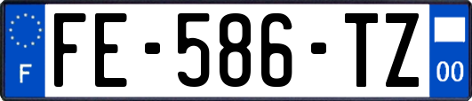 FE-586-TZ