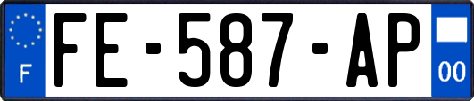 FE-587-AP