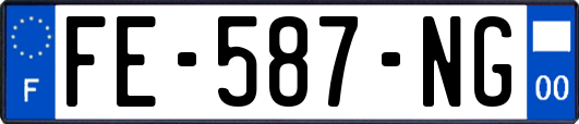 FE-587-NG