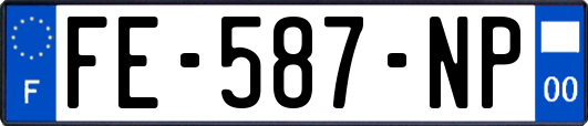 FE-587-NP