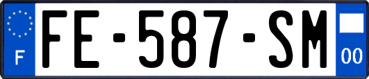 FE-587-SM