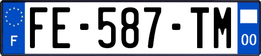 FE-587-TM