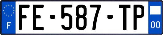 FE-587-TP