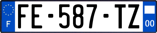 FE-587-TZ