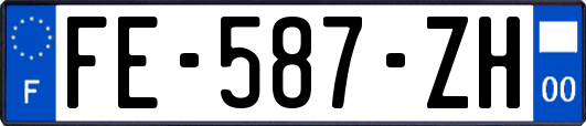 FE-587-ZH