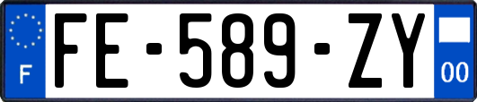 FE-589-ZY