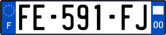 FE-591-FJ