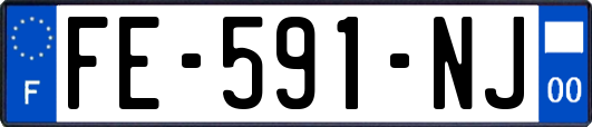 FE-591-NJ
