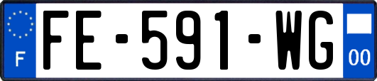 FE-591-WG