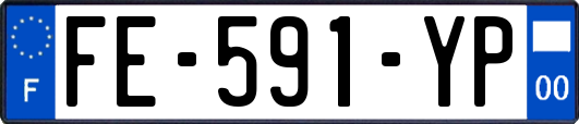 FE-591-YP
