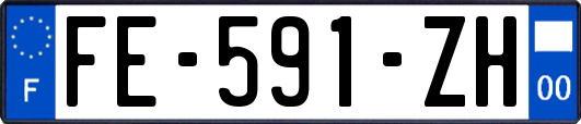 FE-591-ZH